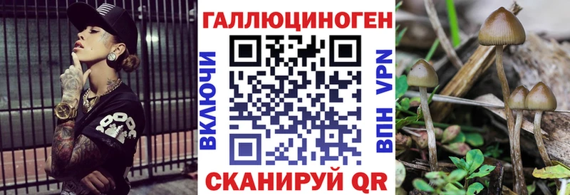 купить  сайты  Асбест  Галлюциногенные грибы GOLDEN TEACHER 