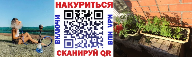 где продают наркотики  Асбест  МЕГА ссылка  МАРИХУАНА SATIVA & INDICA 